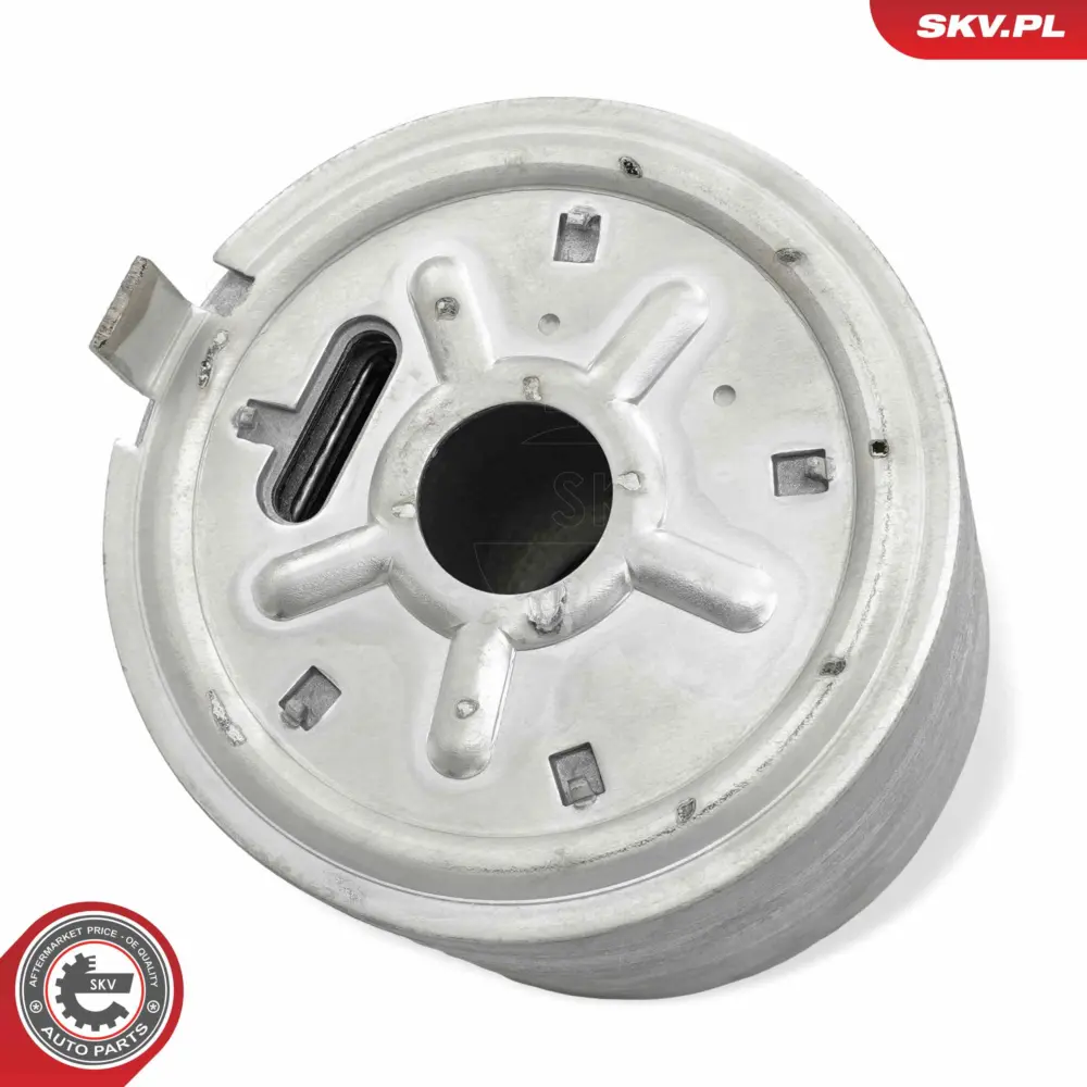 Radiatore Olio, Olio Motore per Nissan Navara Np300 (D40) 213055X00A
