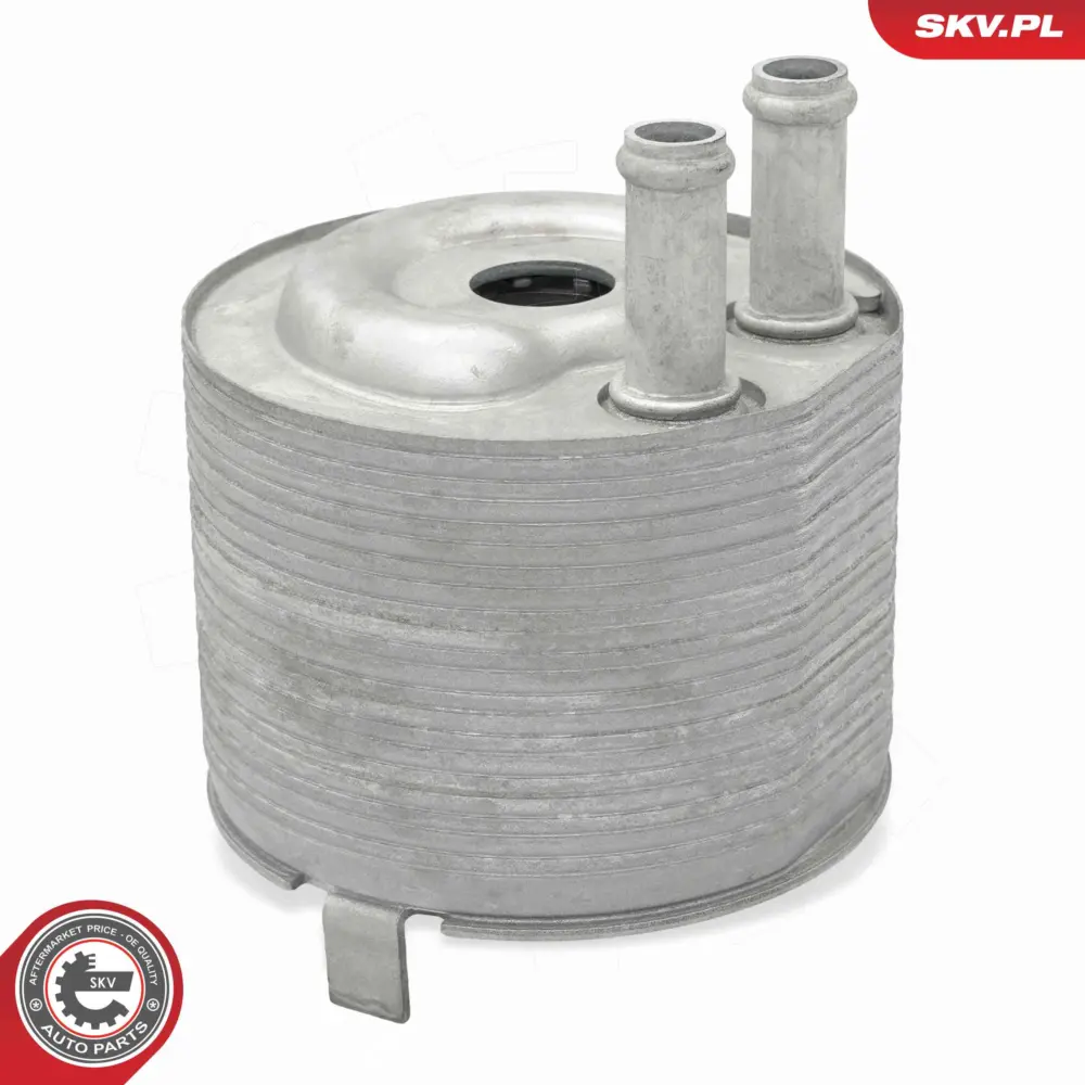 Radiatore Olio, Olio Motore per Nissan Navara Np300 (D40) 213055X00A