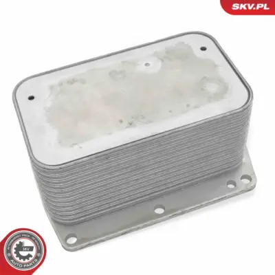 Radiatore Olio, Olio Motore per Opel Movano B Platform/Chassis (X62) 1520000Q0L