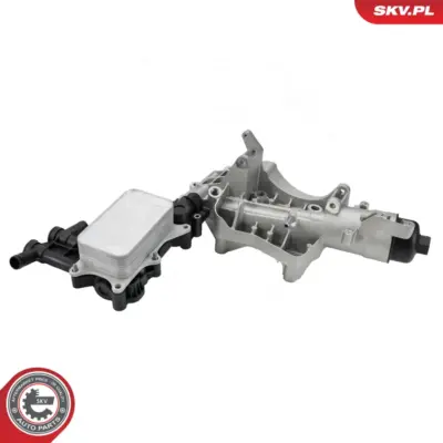 Radiatore Olio, Olio Motore per Renault Trafic III Bus Trafic III Van 6261800011