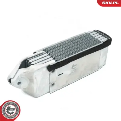Radiatore Olio, Olio Motore per VW Kaefer Kaefer Convertible (15) 181 113117021