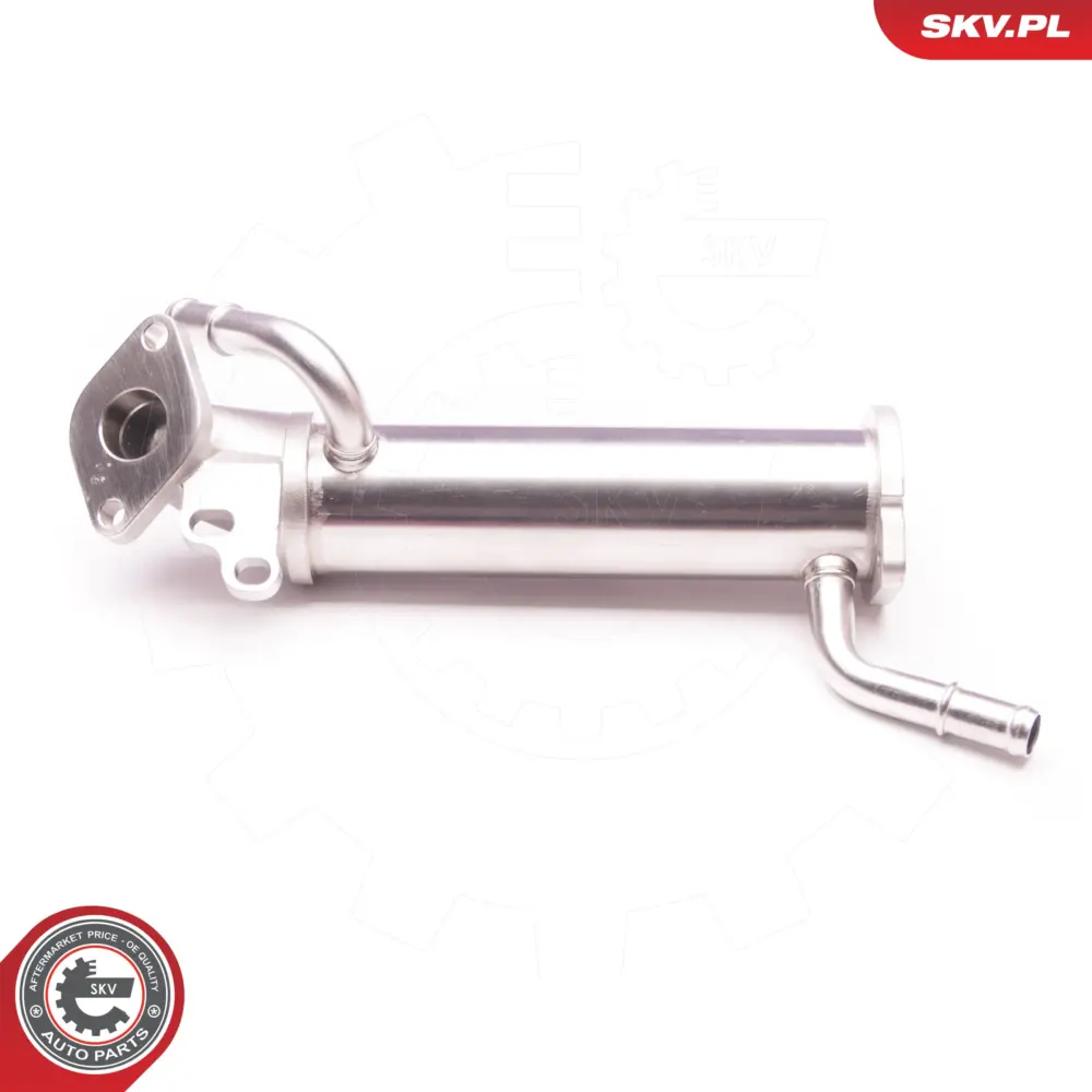 Radiatore valvola EGR per Ford Transit Bus Transit Platform/Chassis 1111912