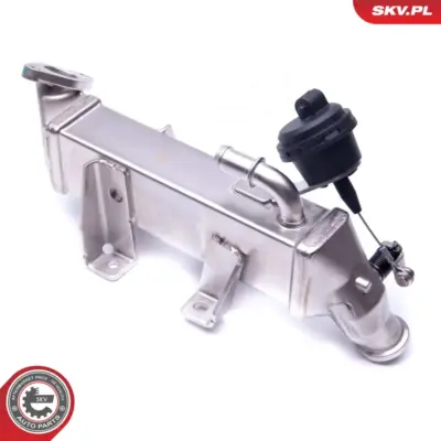 Radiatore valvola EGR per Renault Master III Platform/Chassis (EV HV) 93168410