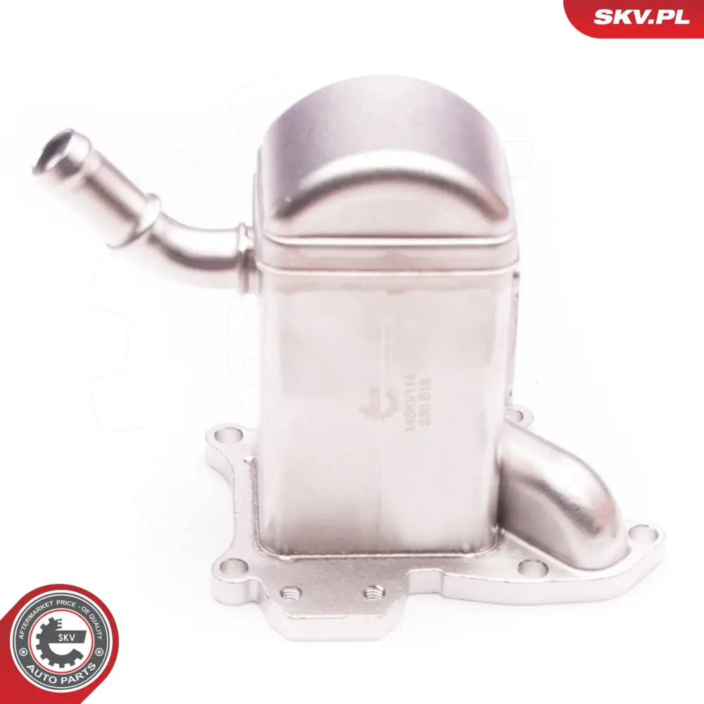 Radiatore valvola EGR per Renault Megane III Coupe (DZ0) 147106293R
