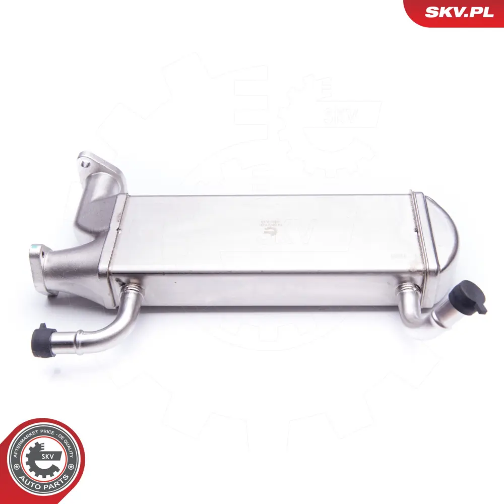 Radiatore valvola EGR per VW Crafter 30-50 Platform/Chassis (2F_) 03L131511A