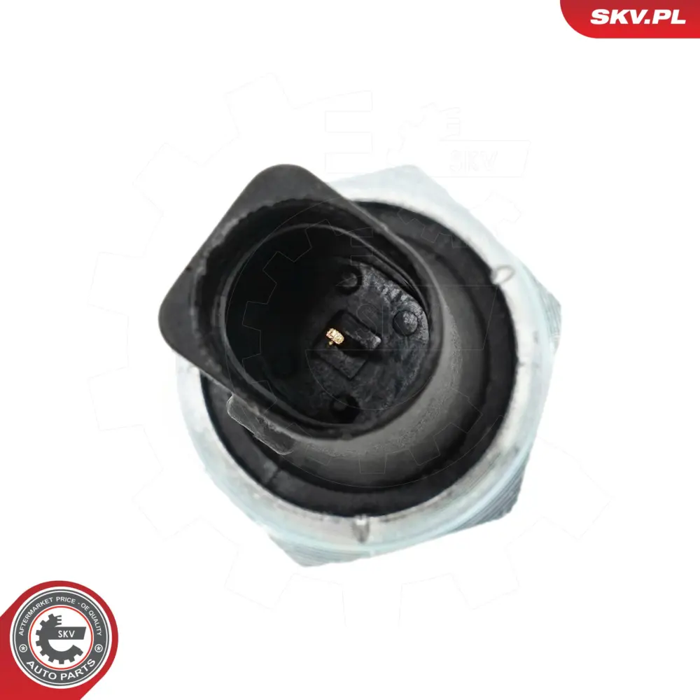 Sensore del livello dell'olio per Audi A4 B5 (8D2) A4 B5 Avant (8D5) 1100767