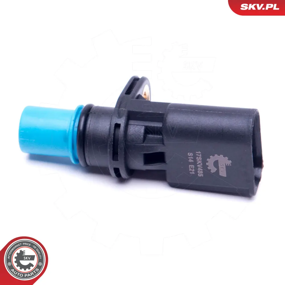 Sensore di posizione albero a camme per Audi A4 B7 (8EC) A4 B6 (8E2) 06C905163B