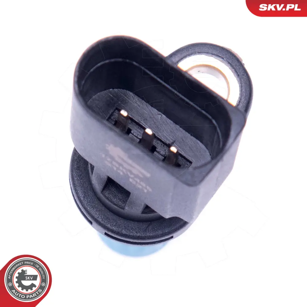 Sensore di posizione albero a camme per Audi A4 B7 (8EC) A4 B6 (8E2) 06C905163B