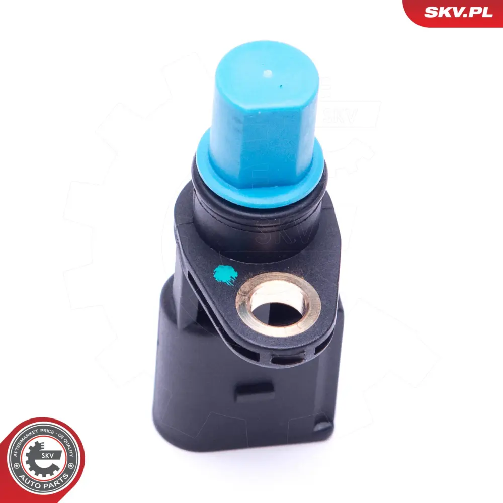 Sensore di posizione albero a camme per Audi A4 B7 (8EC) A4 B6 (8E2) 06C905163B