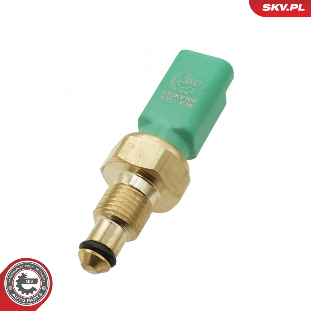 Sensore di temperatura del liquido di raffreddamento per Renault Clio II 1920 NH