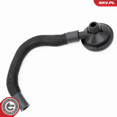 Separatore di olio per Renault Clio II Kangoo Express (FC0) 82 00 068 489