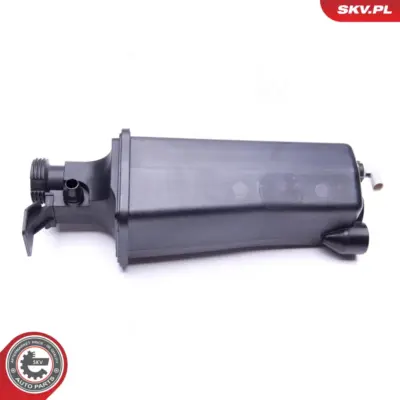 Serbatoio compensazione, Refrigerante per BMW Serie 3 (E46) X5 (E53) 1436255