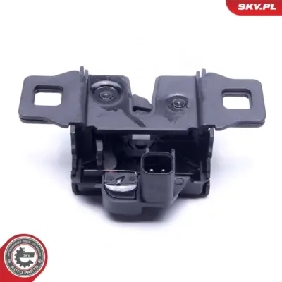 Serratura porta per Land Rover Range Rover Sport I (L320) LR002794