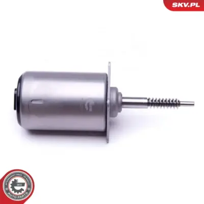 Servomotor per BMW Serie 5 (E60 E61) 7 (E65 E66) X5 (E53) 6 (E64) 11377506788