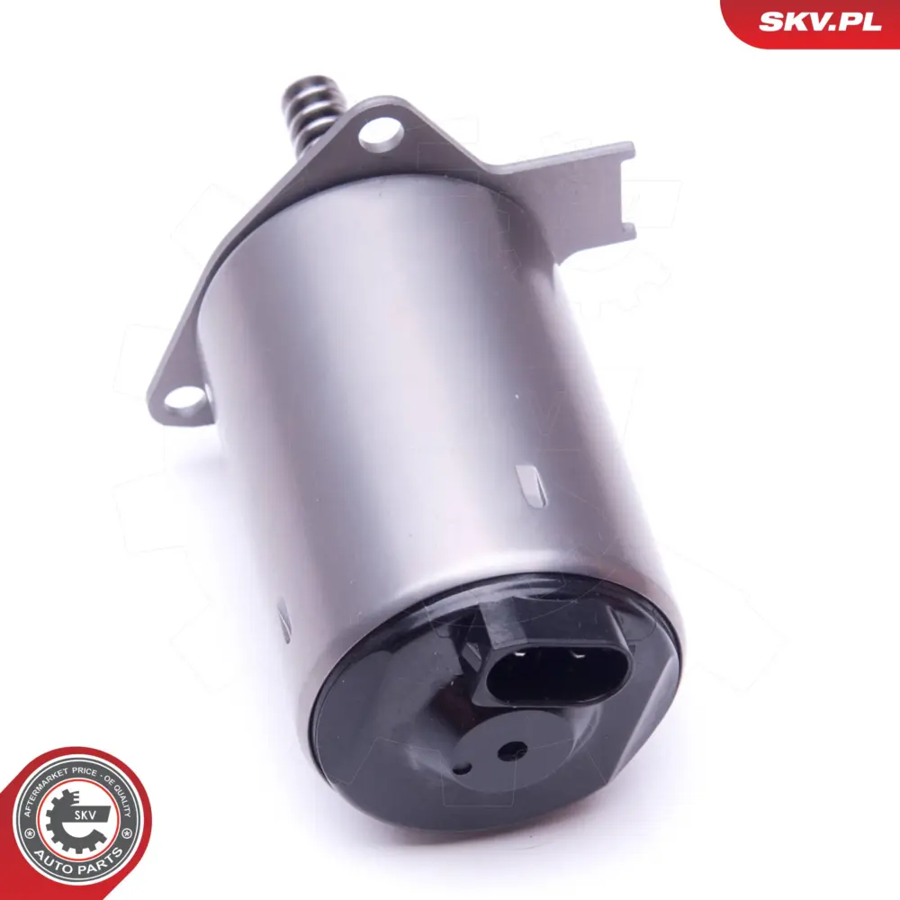 Servomotor per Mini Mini (R56) Mini Countryman (R60) Mini Coupe (R58) 00001920LY