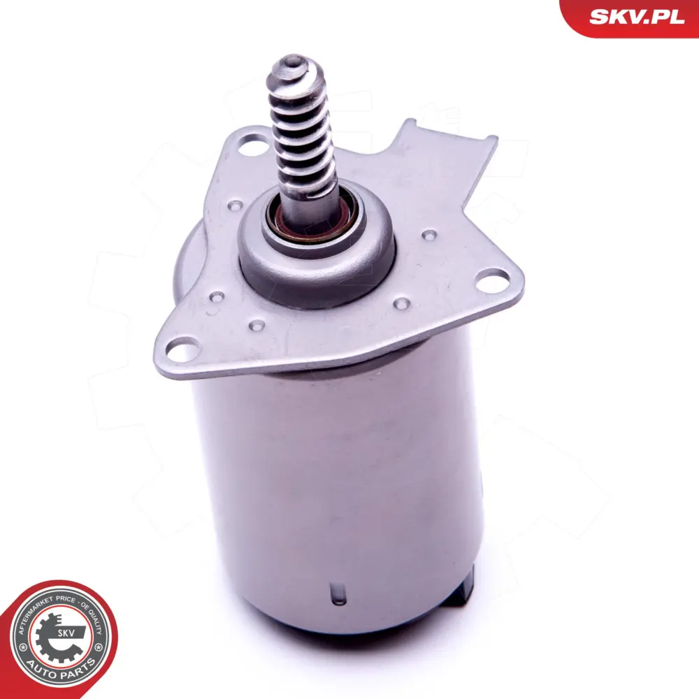 Servomotor per Mini Mini (R56) Mini Countryman (R60) Mini Coupe (R58) 00001920LY
