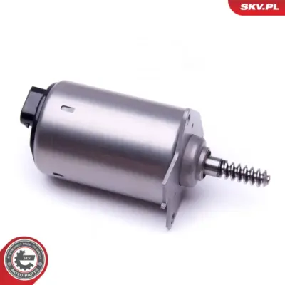 Servomotor per Mini Mini (R56) Mini Countryman (R60) Mini Coupe (R58) 00001920LY