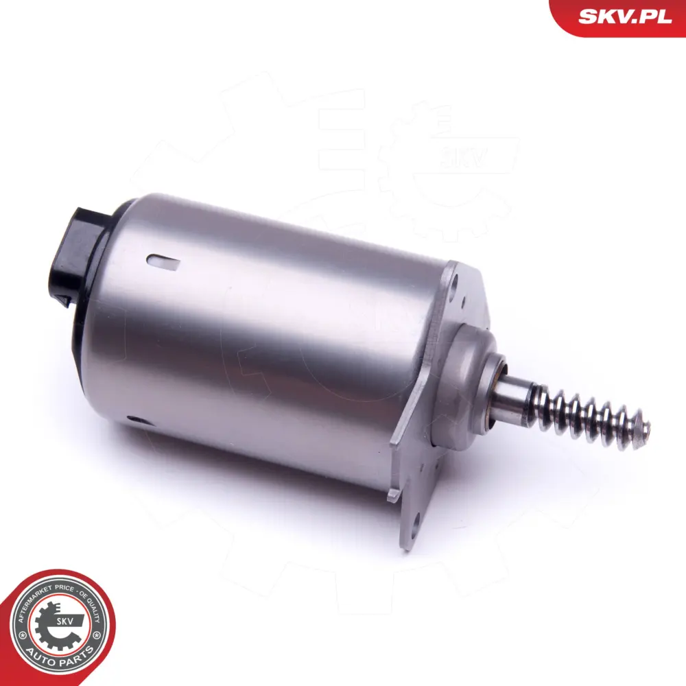 Servomotor per Mini Mini (R56) Mini Countryman (R60) Mini Coupe (R58) 00001920LY