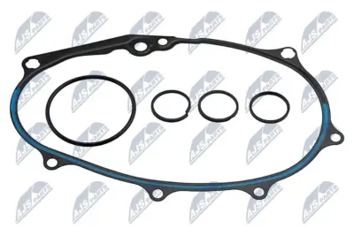 Set Anelli Regolazione 3 Pezzi per Audi A3 2.0fsi 2003- Seat Altea 2.0tsi 2004