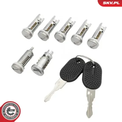 Set di inserti per serratura porta per Fiat Ducato Platform/Chassis 4162C0