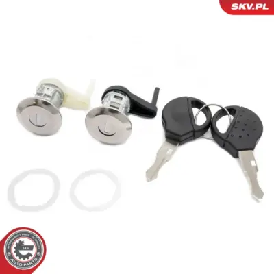 Set di inserti per serratura porta per Peugeot 206 Hatchback (2A C) 9170-N8