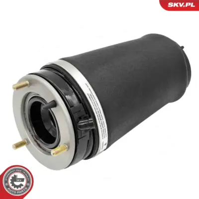 Soffietto per sospensione pneumatica LR032563