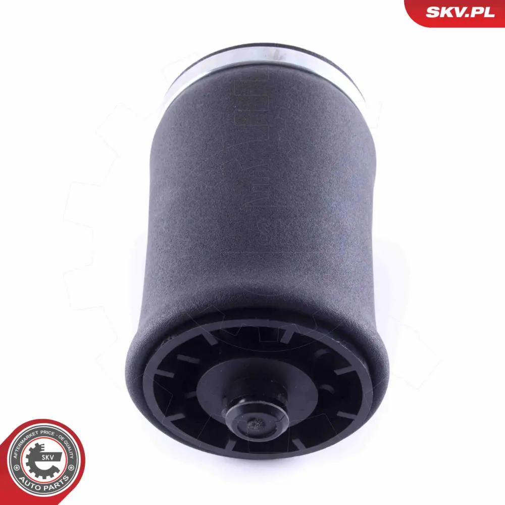 Soffietto per sospensione pneumatica per BMW X5 (E53) 37121095580