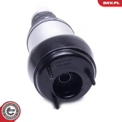 Soffietto per sospensione pneumatica per Mercedes GLE (W166) 1663202613