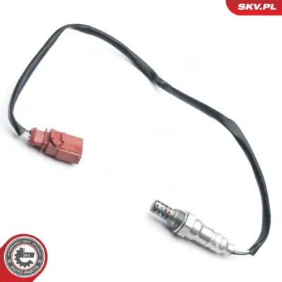 Sonda lambda per Audi A3 (8P1 8V1) A3 Sportback (8PA) A6 C6 (4F2) 036906262AA
