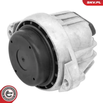 Supporto del motore per BMW Serie 1 (E88 E82) 3 (E93) X1 (E84) 22 11 6 768 852