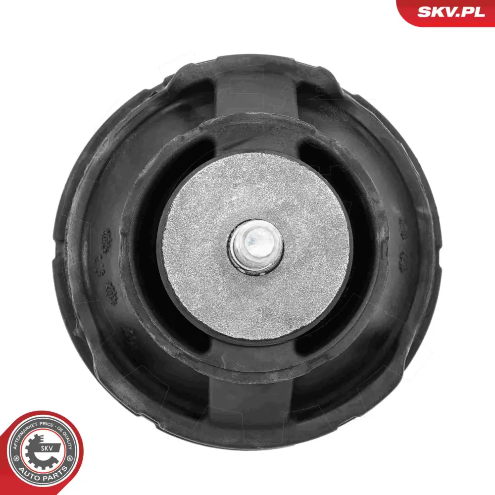 Supporto del motore per BMW Serie 3 (E46) 22 11 1 094 813