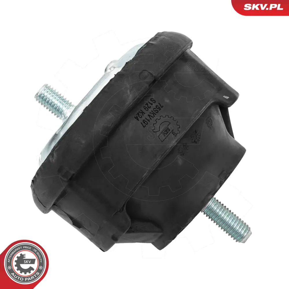 Supporto del motore per BMW Serie 3 (E46) 22 11 1 094 813