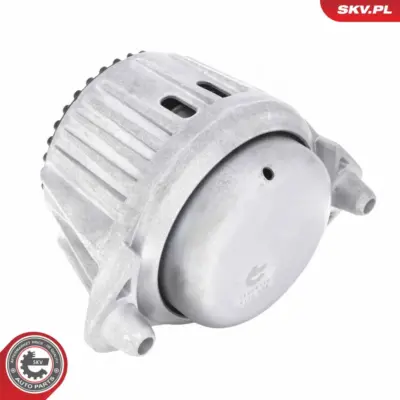 Supporto del motore per Mercedes Classe E Convertible (A207) 204 240 23 17