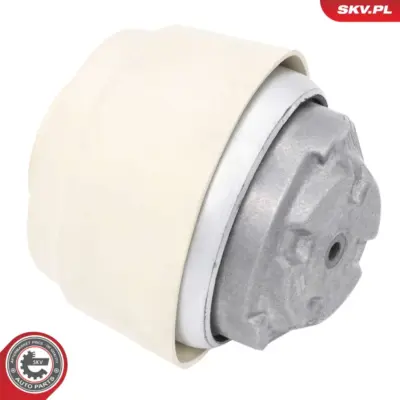 Supporto del motore per Mercedes Classe E T-Model (S211) SL (R230) 171 240 02 17