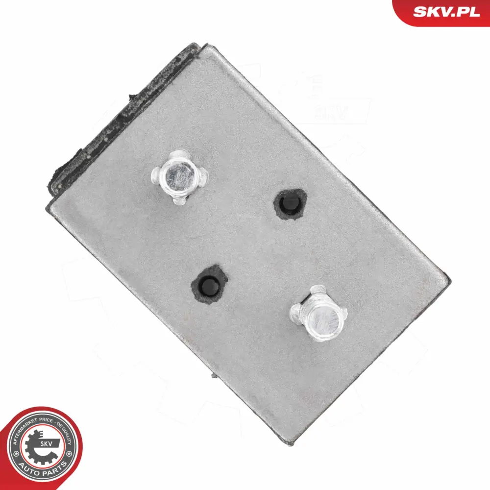 Supporto del motore per Mercedes T1 Platform/Chassis (601 B602) 901 241 24 13