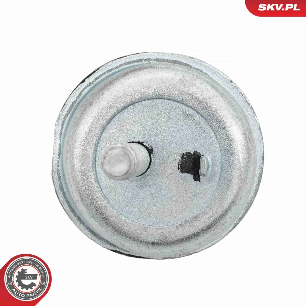 Supporto del motore per Peugeot 206 Hatchback (2A C) 206 SW (2E K) 206+ 1844.A1