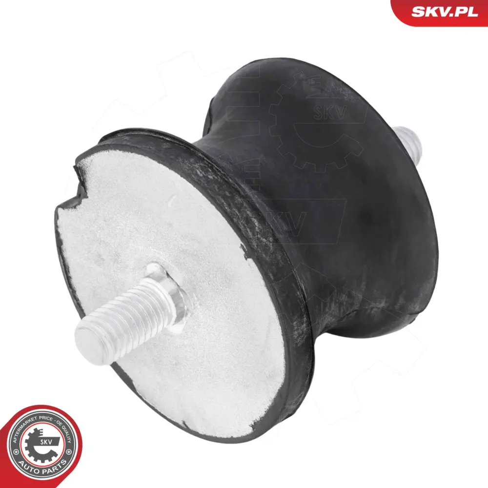 Supporto della trasmissione per BMW Serie 1 (E88 E82) 3 (E36) 22 31 6 753 316