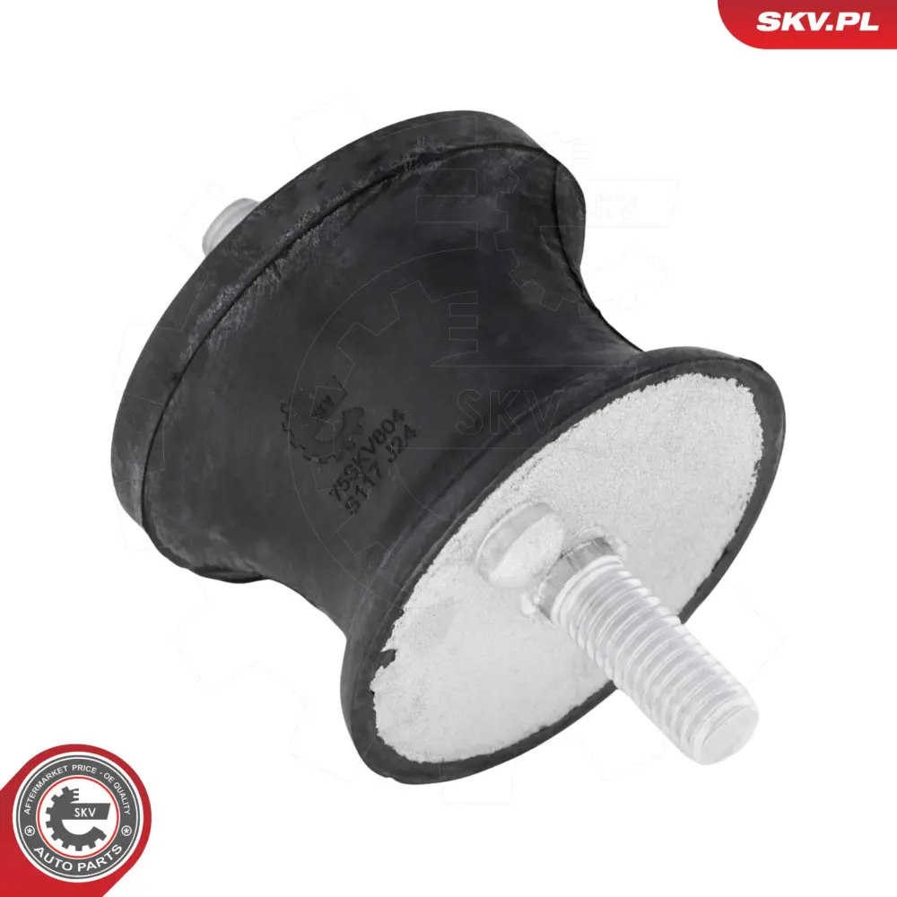 Supporto della trasmissione per BMW Serie 1 (E88 E82) 3 (E36) 22 31 6 753 316