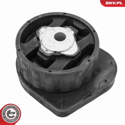 Supporto della trasmissione per BMW Serie 3 (E92 E46) 5 (E60) 22 31 6 750 858