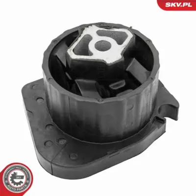 Supporto della trasmissione per BMW X5 (E53) 22 31 6 764 212