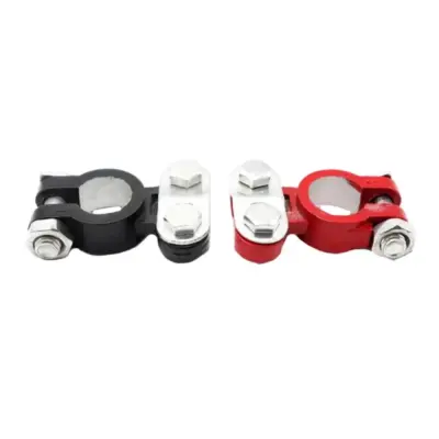 Terminali Batteria Auto 2 Pezzi Universali