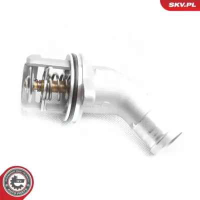 Termostato per Audi A4 B6 (8E2) A4 B6 Avant (8E5) A8 D3 (4E2 4E8) 06C121111C