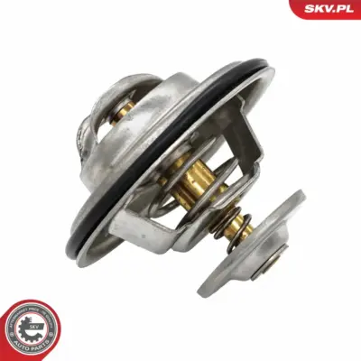 Termostato per Audi A6 C5 (4B2 4B4) A4 B5 (8D2) A4 B5 Avant (8D5) 077 121 113