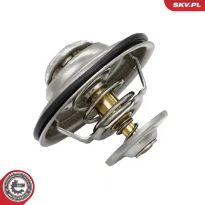 Termostato per Audi A6 C5 (4B2 4B4) A6 C5 Avant (4B5 4B6) A4 B5 (8D2) 078121113G