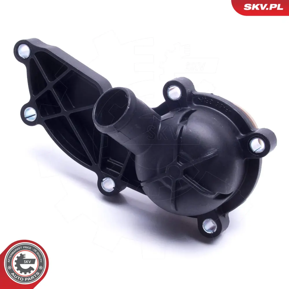 Termostato per Audi A6 C6 (4F2) A6 C6 Avant (4F5) A4 B7 (8EC) 06E 121 111 D