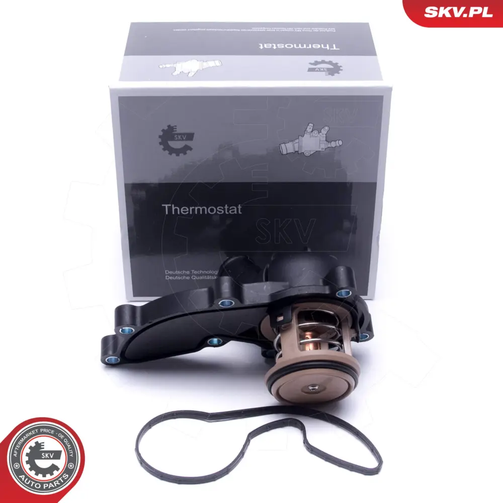 Termostato per Audi A6 C6 (4F2) A6 C6 Avant (4F5) A4 B7 (8EC) 06E 121 111 D