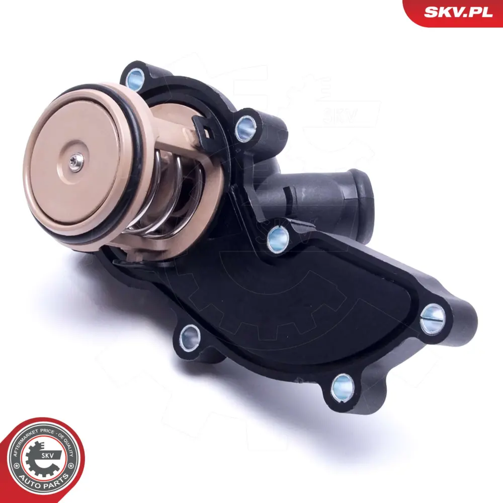 Termostato per Audi A6 C6 (4F2) A6 C6 Avant (4F5) A4 B7 (8EC) 06E 121 111 D