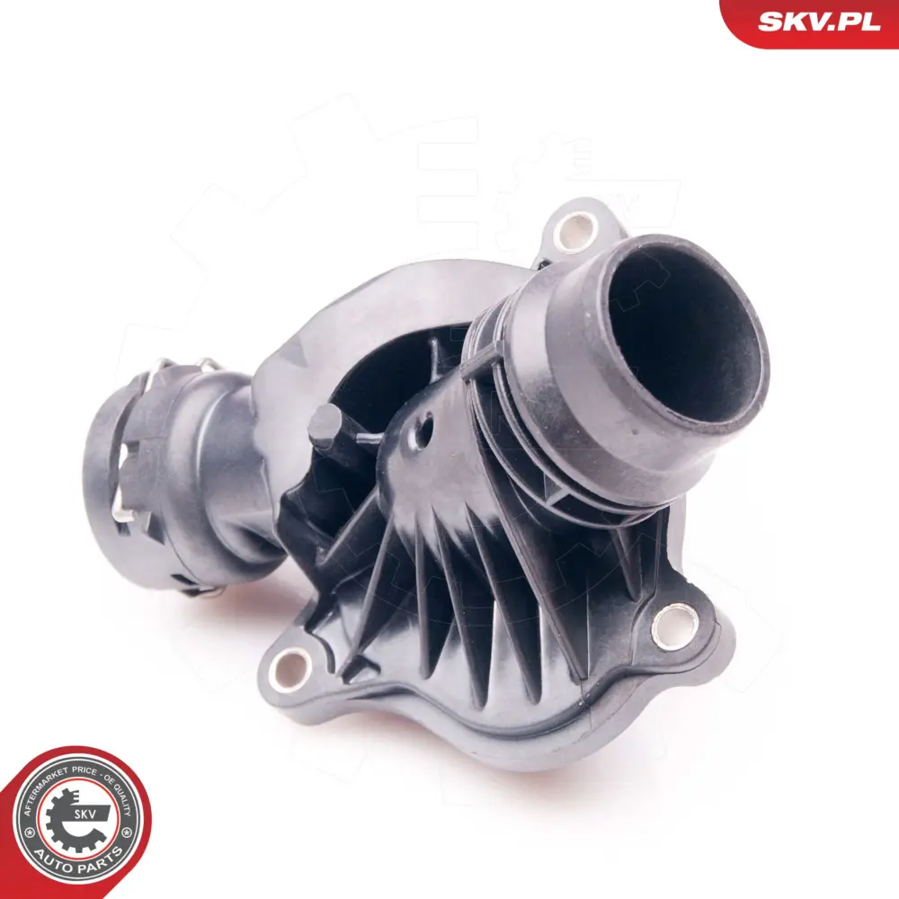Termostato per BMW Serie 3 (E46) 5 (E60) X3 (E83) 1 (E88) 7 (E65) 11517787052