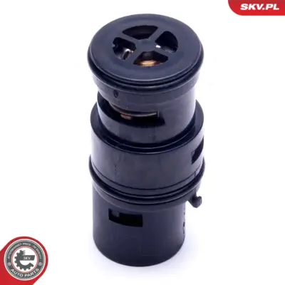 Termostato per BMW Serie 3 (E46) Z4 (E86 E85) X3 (E83) X5 (E53) 17 11 1 437 362