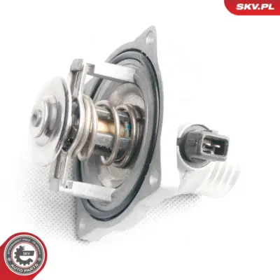 Termostato per BMW Serie 5 (E39) 7 (E38) 3 (E36) 1043324